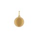 Pendente em ouro amarelo 9 kt com labrado