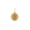 Pendente em ouro amarelo 9 kt com labrado