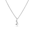Colar de prata com forma de "S" zircónia 40+3CM