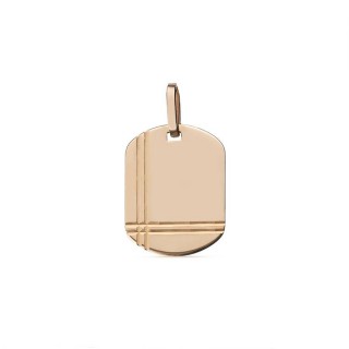 Colgante placa de oro amarillo 9 KT