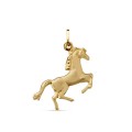 Pendente em ouro amarelo 9 kt