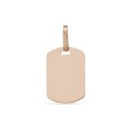 Pendente em ouro amarelo 9 kt placa retângular