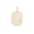 Pendente em ouro amarelo 9K com placa lapidada