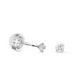 Brincos em ouro branco 9K com 4 garras e zircónia de 2.5MM