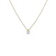 Colar plaqueado a ouro com 4 garras e 4.25 mm de 42CM
