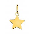 Pendente folheada a ouro amarelo com estrela