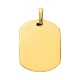 Pendente folheado a ouro amarelo com placa oval