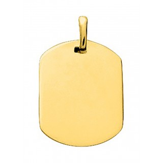 Colgante bañado en oro amarillo con placa oval