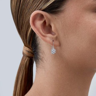 Pendientes de plata + circonita