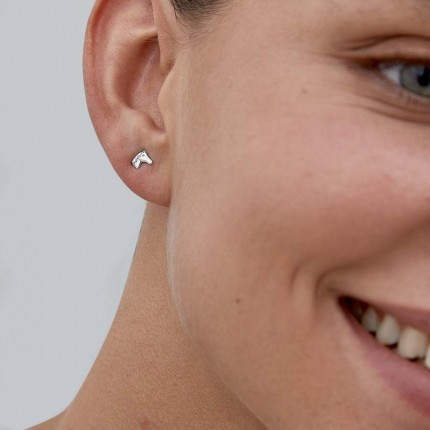 Pendientes de plata cabeza de caballo