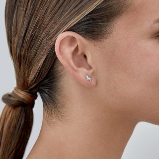 Pendientes de plata caballitos