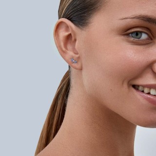 Pendientes de plata diseño libélula esmaltada