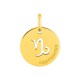 Colgante redondo Horóscopo español Capricornio de oro amarillo 18K