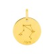 Colgante Horóscopo español Libra de oro amarillo 9K