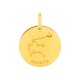 Medalha do Horóscopo espanhol Aquário em ouro amarelo 9K