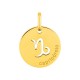 Colgante redondo Horóscopo portugués Capricornio de oro amarillo 18K