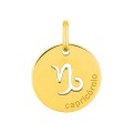 Colgante redondo Horóscopo portugués Capricornio de oro amarillo 9K