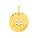 Medalha redonda do Horóscopo português Aquário em ouro amarelo 9K