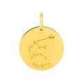 Colgante Horóscopo portugués Acuario de oro amarillo 9K