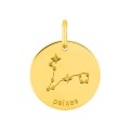 Medalha do Horóscopo português Peixes em ouro amarelo 9K
