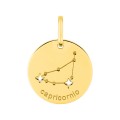 Colgante Horóscopo español Capricornio de oro amarillo 18K