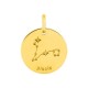 Medalha redonda do Horóscopo espanhol Peixes dorado