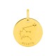 Medalha redonda do Horóscopo espanhol Aquário dorado