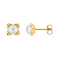 Pendientes de oro amarillo 18k, perlas de agua dulce