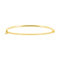 Pulsera rígida de oro amarillo 9 KT
