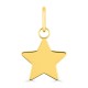 Pendente em ouro amarelo 9 kt en forma de estrela