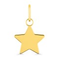 Pendente em ouro amarelo 9 kt en forma de estrela