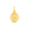 Pendente oval biselado em ouro amarelo 9K Zodíaco Câncer
