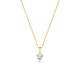 Collar bañado en oro con circonita 40+5cm Oro Vivo