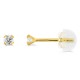 Brincos em ouro amarelo 9K com 4 garras e zircónia de 2.5MM