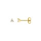 Brincos em ouro amarelo de 9K com diamantes criados 0,10 ct