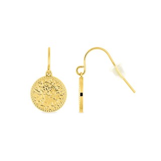 Brincos de gancho em aço dourado