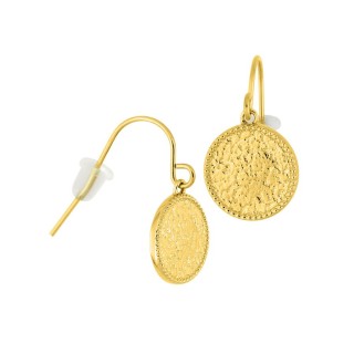Brincos de gancho em aço dourado