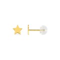 Pendientes estrella oro amarillo 9K