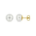 Pendientes de perlas de agua dulce de 9mm y oro amarillo 18K