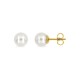 Pendientes de perlas de agua dulce de 6 mm y oro amarillo 18K