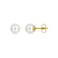 Brincos de pérolas de água doce de 6 mm e ouro amarelo de 18K