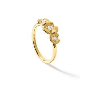 Anel L'Hortensia Trio dourado